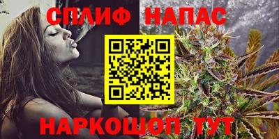 гашик Будённовск