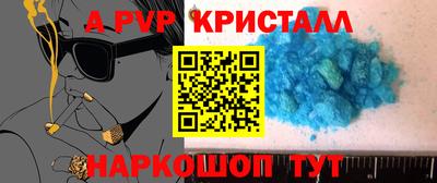 гашик Будённовск