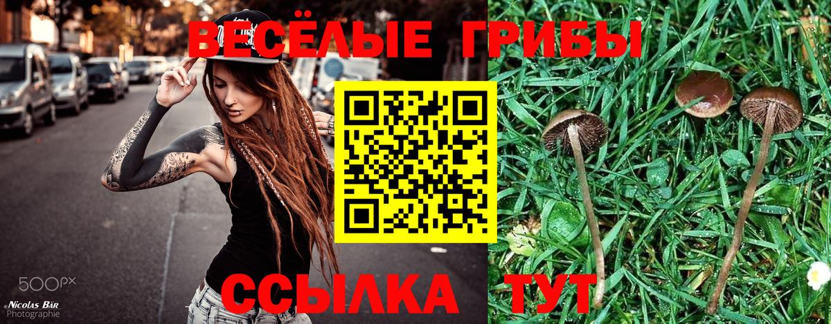 Галлюциногенные грибы мицелий  Вход с VPN  Псилоцибиновые грибы мицелий  Фролово 