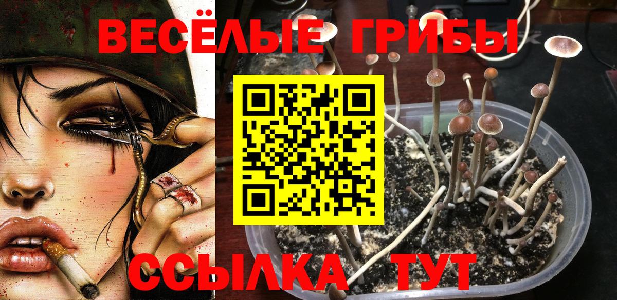 Псилоцибиновые грибы GOLDEN TEACHER Фролово