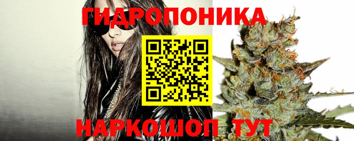 Фролово  Конопля планчик  Вход с VPN  Канабис Ganja  Канабис Amnesia 